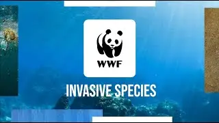 WWF Invasive Species Case Study