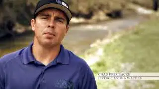 Xstream Cleanup - Corporate Partners Commercial