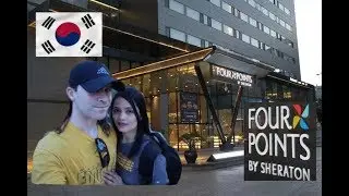 Four Points by Sheraton Seoul Guro-gu | BEST WESTERN PREMIER GURO-GU SEOUL KOREA