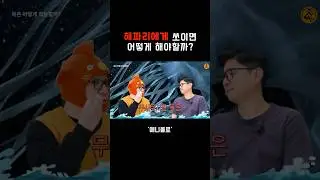 무시무시한 해파리 독침의 비밀? 쏘였을 때 대처법!