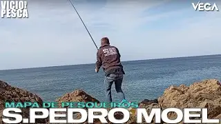 PESQUEIRO DE SARGOS XXL E ROBALOS XXL-   SÃO PEDRO DE MOEL -  MAPA DE PESQUEIROS 10