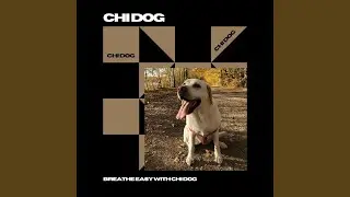417 Hz Audio Signal - Pup's Playtimey