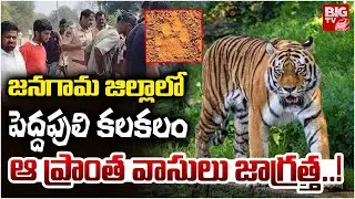 జనగామ జిల్లాలో పెద్దపులి కలకలం | Tiger Halchal in Jangaon District | Bacchannapet | BIGTV