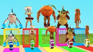 Brainrot Game Tungtung Sahur , Tralalero Tralala ,Ballerina Cappuccina , Muscle Orange ,|3D BrainRot