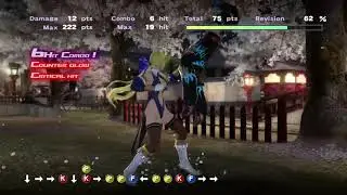 DEAD OR ALIVE 4 Helena 238 Damage Combo Kyoto in Bloom