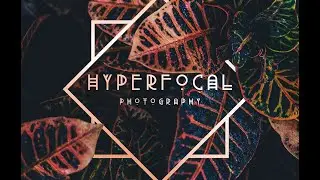 Hyperfocal Marketing Kit Tutorial