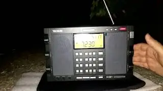 Tecsun  H 501. SW.(2)