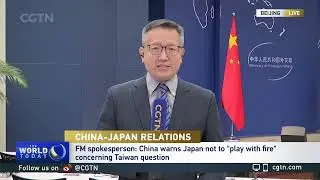 China's MFA Spokesperson Lin Jian at Press Conference