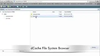 dCache Life Cycle Demontration