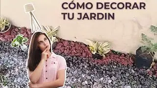 C&oacute;mo decorar tu patio con Sansevieria Hanni, Rea tricolor y ruda!! TIPS Y TRUCOS DE JARDINER&Iacute;A ✅👌
