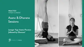 Iyengar Yoga Asana & Dharana Session