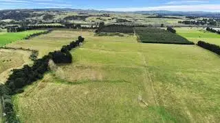 Ashworths Bush Road - 30 Hectare Bare Land