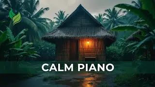 Minimal Piano Music with Nature Sounds for Relaxation! 