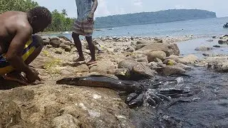 A Trip To Biche Village | Feeding Eel's | Marovo Lagoon