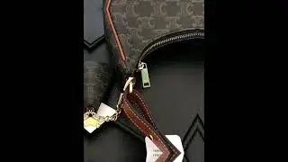 Celine Ava Bag in Triomphe Canvas and Calfskin: A Modern Classic