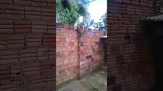 o vizinho soltando bomba.