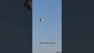 Big kite, flying Basant international viral video ￼ #flyingkites #basantkiteflying #basant2024