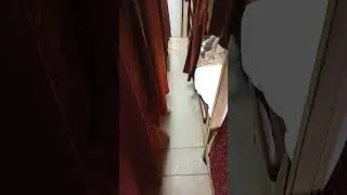 AC 2-Tier (2A)..Second Class AC Coach (2A).. യാത്രാ.. #asmr #shorts #train #travel