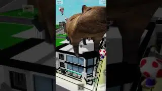 Top 5 BEST BROOKHAVEN HACKS and IDs 😱 #roblox #brookhaven #brookhavenhacks #robloxcreepypasta