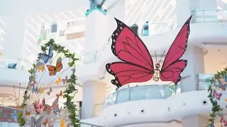 Butterfly Park - Decor Video HD