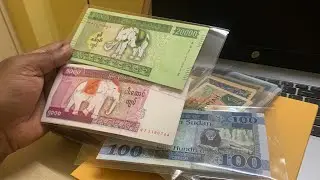 Unboxing new Bank Notes - collection - Elephant Myanmar Elephant Rare Currency