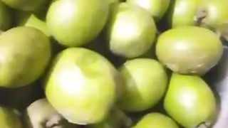আসসালামুয়ালাইকুম। সন্ধ্যার লাইভে স্বাগতম। প্রাণপ্রিয় আপু এবং ভাইয়ারা☕☕☕