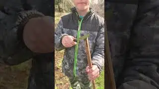 Bamboo spear