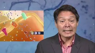 4.10 Indeterminism in the brain part 1