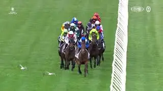 FlyCam Australia @ Melbourne Cup Carnival Flemington - Crown Oakes Day 2024 (Long)
