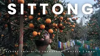 Kolkata to sittong by car-Part1 (কলকাতা থেকে সিটং গাড়িতে)#tour#travelbycar#hill#tea#orangegarden