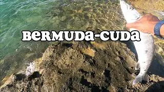 LURE FISHING BERMUDA | First exciting fish of 2023