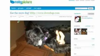 How to aggregate Social Media Photo Sharing with MobyPicture