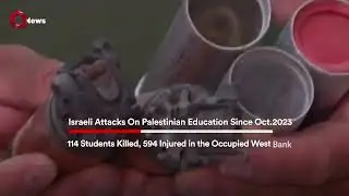 Israeli attacks result in tragic losses among students, educators in Palestine, Lebanon | QNews