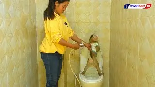Obedient Monkey | Adorable Kako Change Diaper And Take Bath