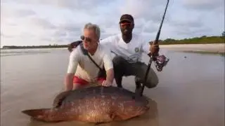 Sett&eacute; cama Aventure