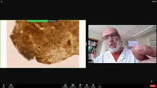 The Secret of Skinwalker Ranch | S5 E10 | Jelly From Deep Inside The Mesa Test Results [HD] [2024]