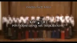 2015. Koncert solista i ansambla muzičke škole 
