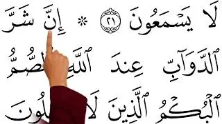 Learn to Recite Surah Al-Anfāl (Full Surah)