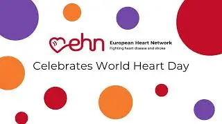 Cardiovascular Disease in Europe: The Case for an EU Cardiovascular Health Plan