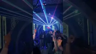The hampster dance 