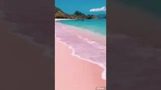 Beautiful Pink Beach in Indonesia 🇮🇩
