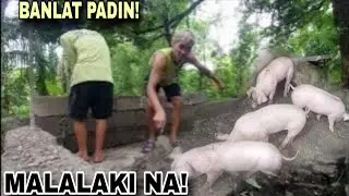 SAYANG DIN ANG 5K KONG IPAPAGAWA SA IBA KAYA KUNAMAN GAWIN