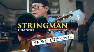 If We Try Cover by STRINGMAN Channel