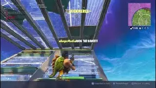 Fortnite-nick merks