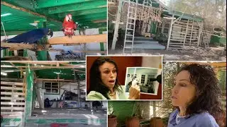 Ex-Hollywood madam gives glimpse inside her secluded desert bird house