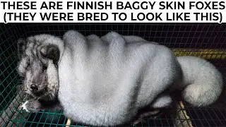 ODDLY TERRIFYING 10