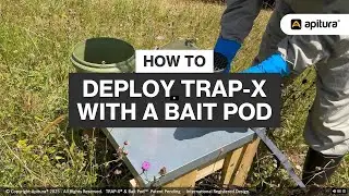 Deploying Trap-X with a the Bait Pod