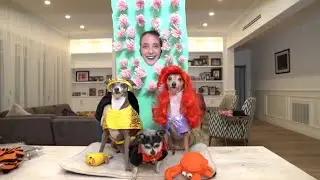 jenna marbles being the queen of halloween for almost 13 minutes