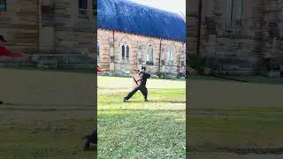 Tai Chi Swords #qigong #taichi