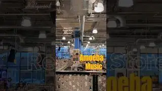 Iconic Record Store Amoeba ร้านแผ่นเสียงร้านดังใน Hollywood #amoebamusic #คนไทยในต่างแดน #hollywood